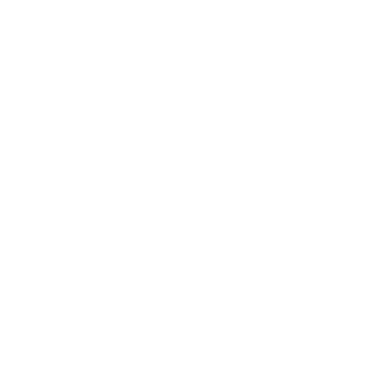 Meduza Academy